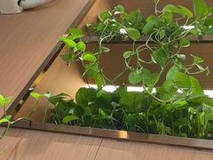 -好這口重庆小面(总店)