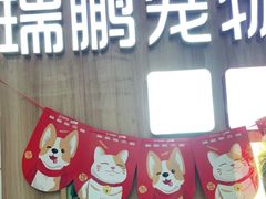 -瑞鹏宠物医院·内科·中兽医·骨科(苗圃店)
