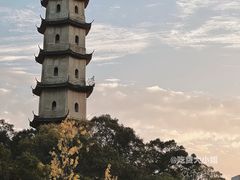 -江心屿景区