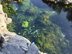 -教师之家赵家羊汤馆(东青龙街店)