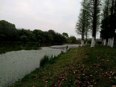 -艾溪湖湿地公园