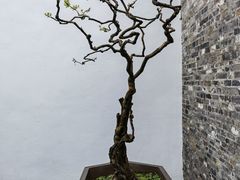 -个园