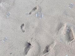 -湄洲岛