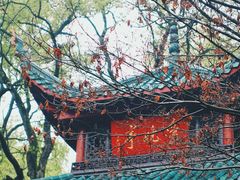 -岳麓山风景名胜区