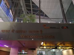 -英迪拉·甘地国际机场