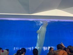 -泉城欧乐堡海洋极地世界