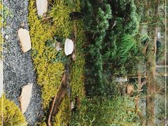 -山壹竹庭院餐厅