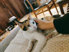 -麦田书店(国防路店)