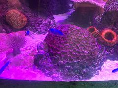 -沈阳海洋探索中心