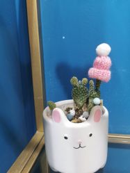 -Nail Me美甲美睫