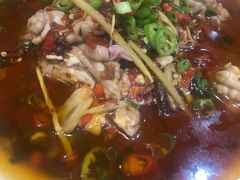 -易老妈蹄花.特色川菜(人民公园总店)