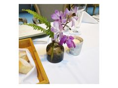 -蝶舍·MAISON PAPILLON