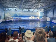 -秦皇岛乐岛海洋王国