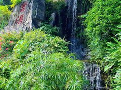 -广州市白云山风景名胜区