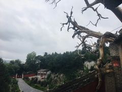 -玉泉观