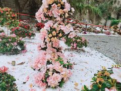 -山城巷传统风貌区