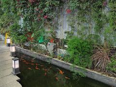 -嘉缤苑