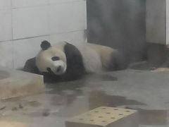android_upload_pic-太原动物园