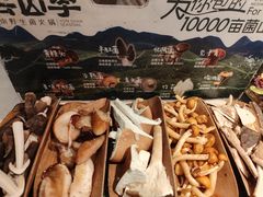 -芸山季·云南山珍菌火锅(南翔印象城MEGA店)