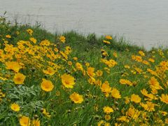 -盘龙城国家考古遗址公园