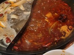 -朱光玉火锅馆(正弘城店)