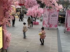 -首开·龙湖成都西宸天街