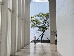 -中国宣纸文化园