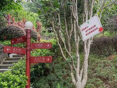 -英德宝晶宫天鹅湖茶语温泉