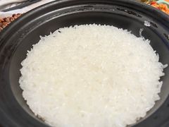 -谷田稻香(佛罗伦萨店)