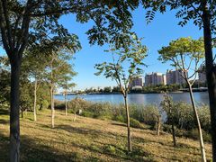 -云海肴汽锅鸡·云南小炒(天津国金汇店)