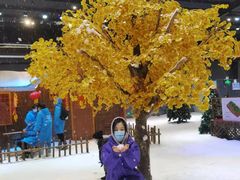 -宁波冰雪大世界(北仑区)