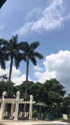 -水八仙生态园