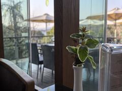 -逸廊大堂吧-下午茶·简餐-千岛湖自由洲际殿
