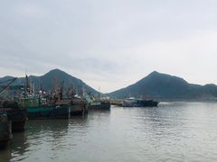 -花岙岛