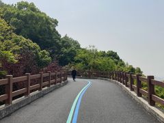 -杭州半山国家森林公园