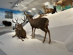 -重庆自然博物馆(新馆)