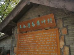 -红楼梦邮局