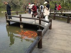 -天目湖山水园