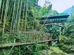 -祁门牯牛降观音堂风景区