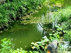 -北京市劳动人民文化宫(太庙)
