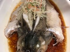 清蒸鲈鱼-又一福烤鸭·北京菜(东四店)