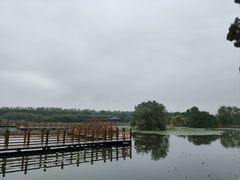 -大湾区中央湿地公园