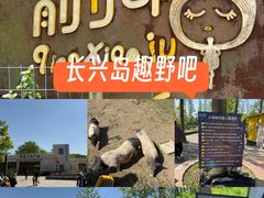 -前小桔亲子创意农场·草莓采摘·露营烧烤