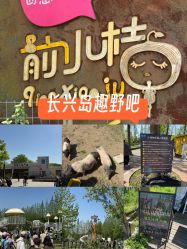 -前小桔亲子创意农场·草莓采摘·露营烧烤