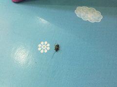 -沫奇水育游泳拓展中心(世茂国际广场店)