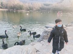 -西安秦岭野生动物园