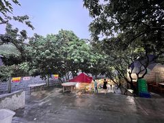 -满記土窑烧鷄波浪山莊