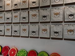 -柴务处·柴犬主题狗咖