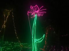-顺鑫绿色度假村