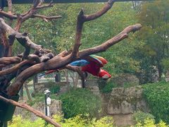 -武汉动物园